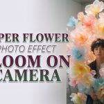 Paper Flower Photo Effect: The Oversized Bloom Look